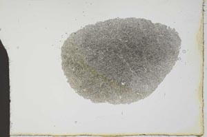 Plane Polarized, S20422
