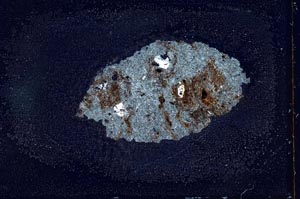 Cross Polarized, S20433