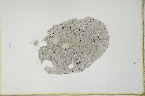 Plane Polarized, S20435