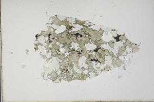 Plane Polarized, S20476