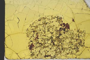 Plane Polarized, S20487