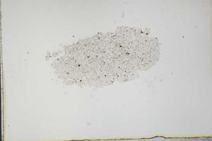 Plane Polarized, S20518