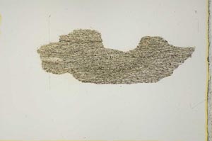 Plane Polarized, S20524
