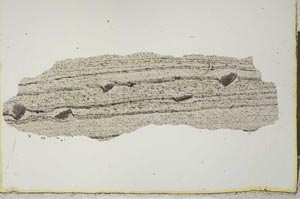 Plane Polarized, S20526