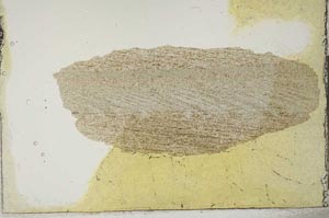 Plane Polarized, S20530