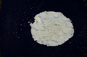 Cross Polarized, S20534
