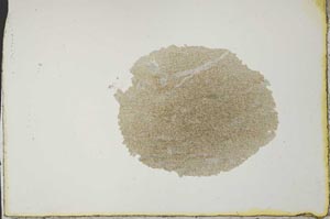Plane Polarized, S20534