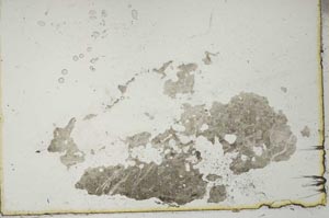 Plane Polarized, S20543