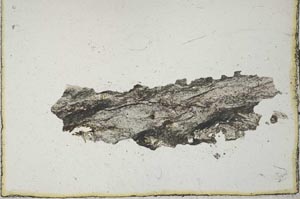 Plane Polarized, S20544