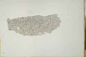 Plane Polarized, S20546