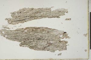 Plane Polarized, S20547