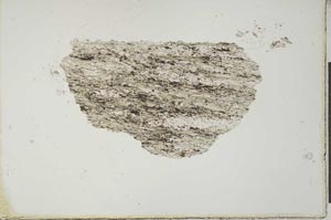 Plane Polarized, S20550