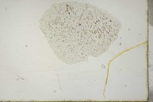 Plane Polarized, S20553