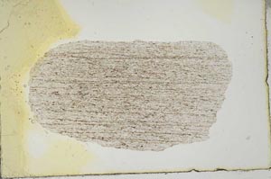 Plane Polarized, S20557