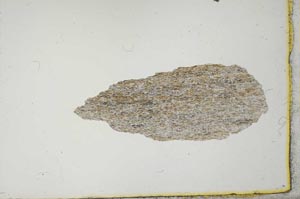 Plane Polarized, S20564