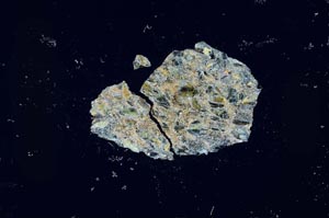 Cross Polarized, S20565