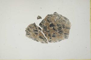 Plane Polarized, S20565