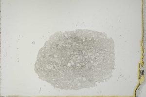 Plane Polarized, S20577