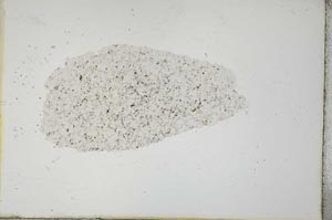 Plane Polarized, S20583
