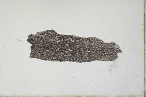 Plane Polarized, S20584