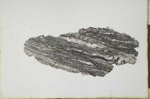 Plane Polarized, S20587