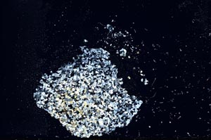 Cross Polarized, S20594