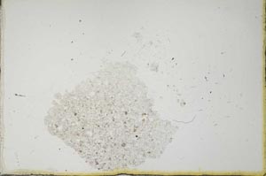 Plane Polarized, S20594