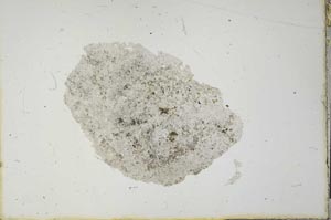 Plane Polarized, S20597
