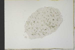 Plane Polarized, S20604