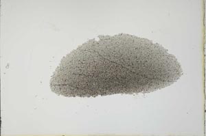 Plane Polarized, S20618