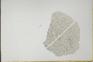 Plane Polarized, S20620