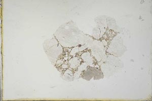 Plane Polarized, S20621