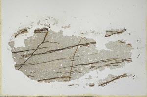Plane Polarized, S20622