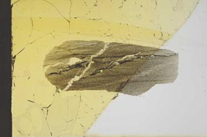 Plane Polarized, S20625