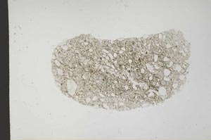 Plane Polarized, S20634