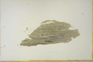 Plane Polarized, S20654