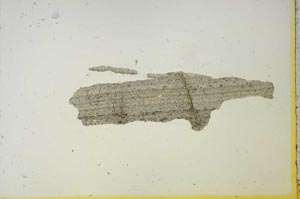 Plane Polarized, S20657