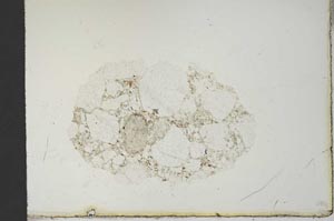 Plane Polarized, S20659