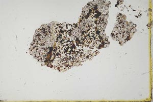 Plane Polarized, S20665
