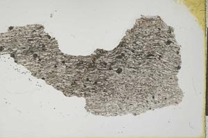 Plane Polarized, S20667