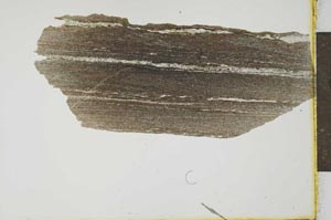 Plane Polarized, S20670
