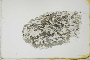 Plane Polarized, S20673