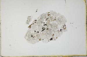Plane Polarized, S20675