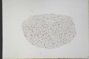 Plane Polarized, S20676