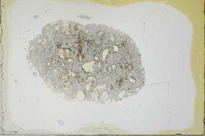 Plane Polarized, S20691