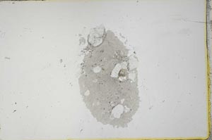 Plane Polarized, S20693