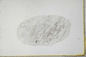 Plane Polarized, S20694
