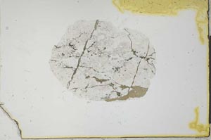 Plane Polarized, S20715
