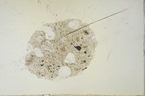 Plane Polarized, S20721