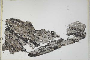 Plane Polarized, S20737/B